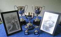 Bedser Sports Cups